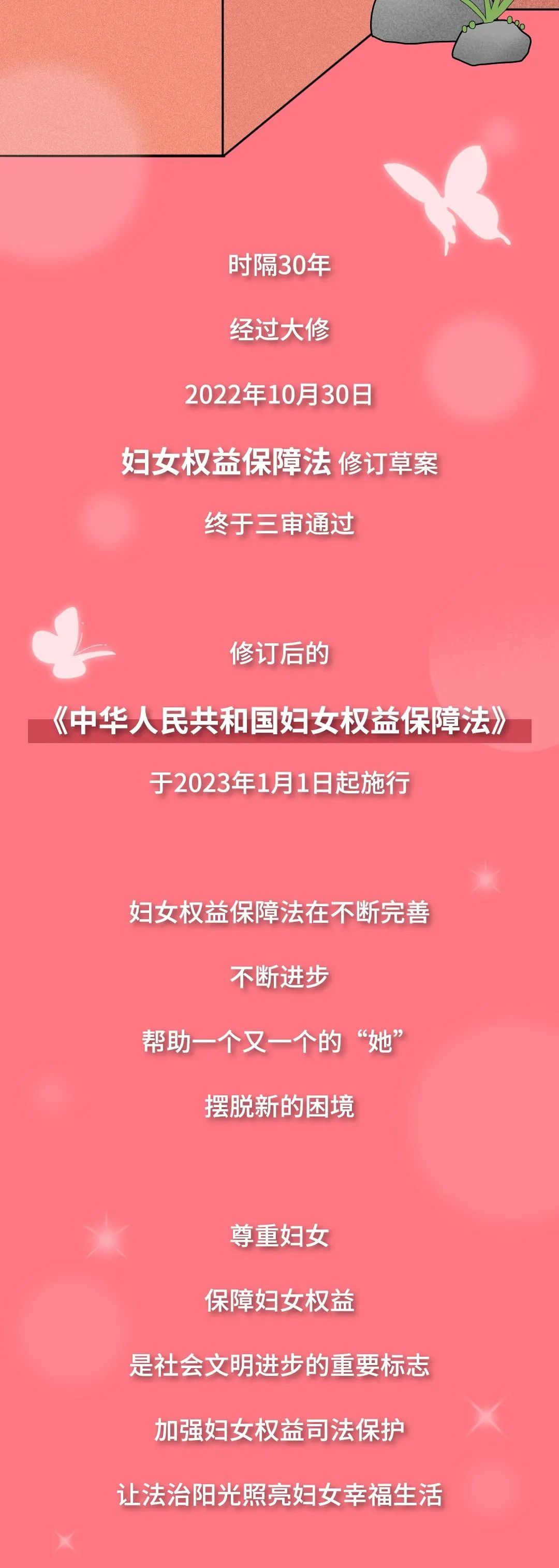 最新妇女权益保障法，构建性别平等的法律基石